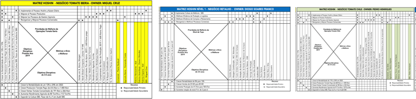 X Matrices